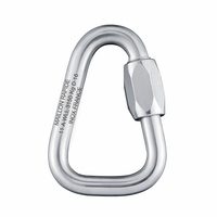 Maillon Rapide Delta Plated Steel