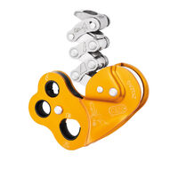 Petzl Zigzag