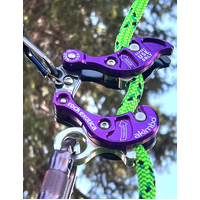 Rock Exotica Akimbo 2